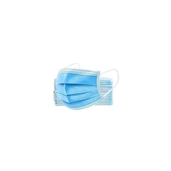 Earloop Safety Mask