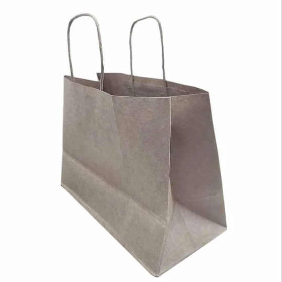 disposable-carry-bags-2.webp
