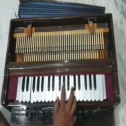 Harmonium Second Hand, Wood material, Double Bellow