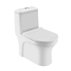 Bathroom Toilet Seat, Sleek and modern look types