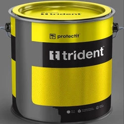 Trident Epoxy Floor Paint, All color, industrial grade