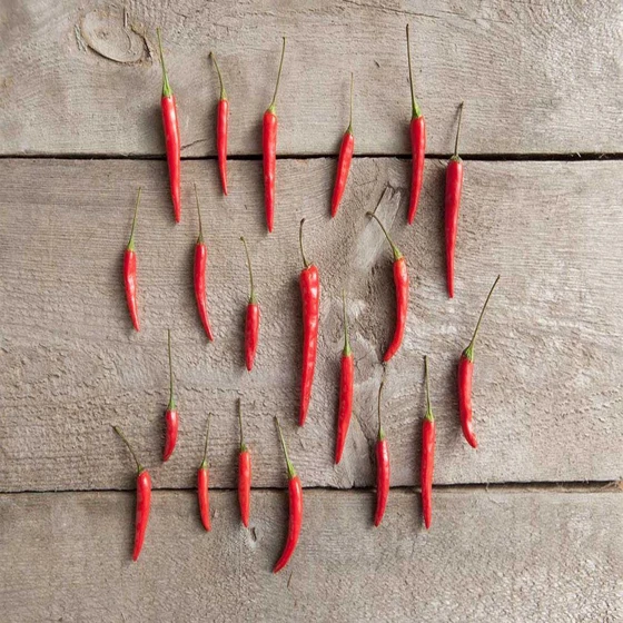 small-red-chilli-2.webp
