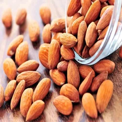 High Quality Best Price Range Almonds Eating Benefits