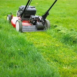 Grass Cutting Lawn Mower, Remote walking drive type