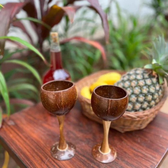 eco-friendly-disposable-wine-glasses-2.webp
