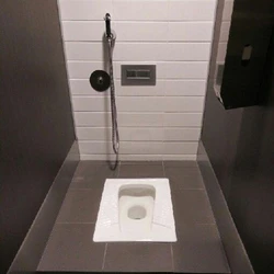 Modern Indian Toilet Seat, Floor mounted, modular type