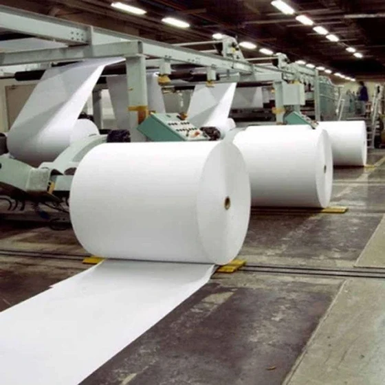 plain-jumbo-thermal-paper-roll-2.webp