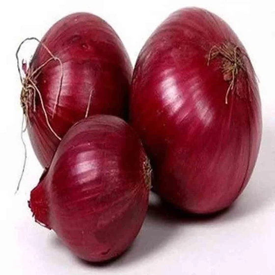 onion-price-2.webp