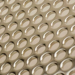 Custom Design SS Perforated Sheet, Embossed style