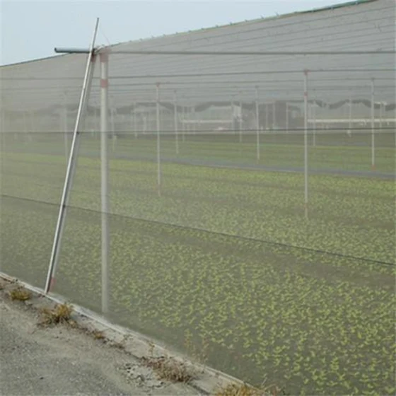High-Performance Insect Nets Safeguarding Crops Against Pests