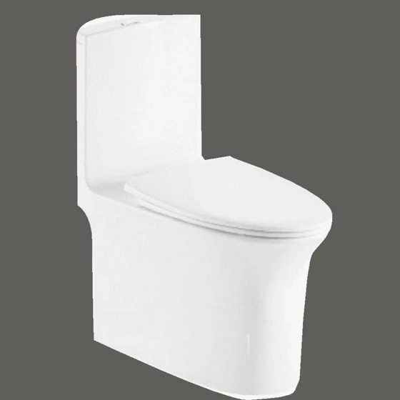 european-water-closets-2.webp
