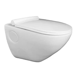 Wall Mounted Commode