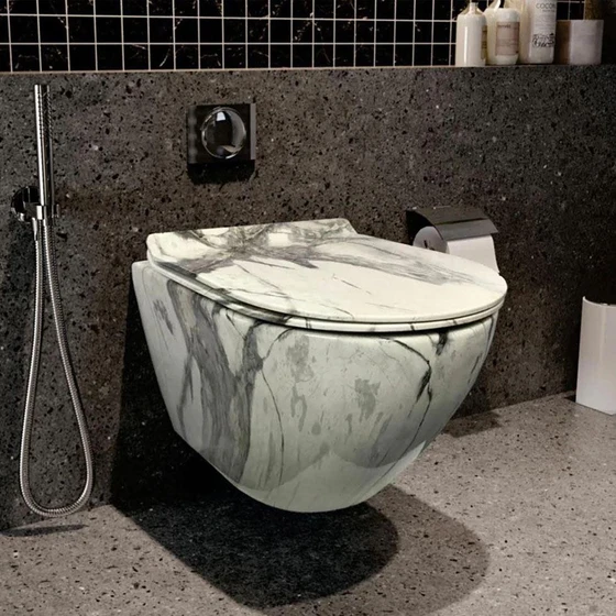 mount-toilet-seat-2.webp