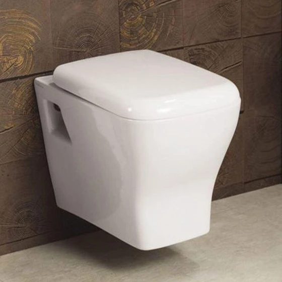 wall-mounted-toilet-seat-2.webp