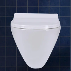 Wall Mounted Toilet Seat