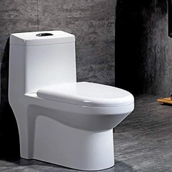 Ceramic One Piece Toilet