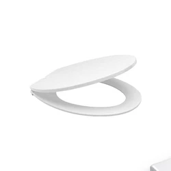 White Toilet Seat Cover