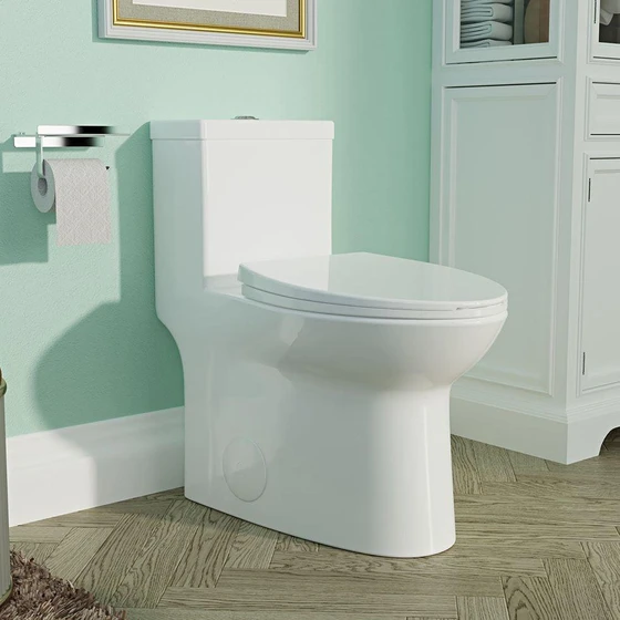 western-one-piece-toilet-2.webp