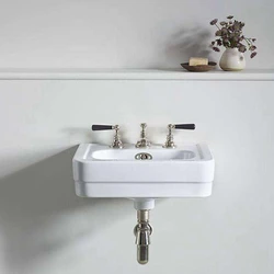 Mounted Bathroom Sink