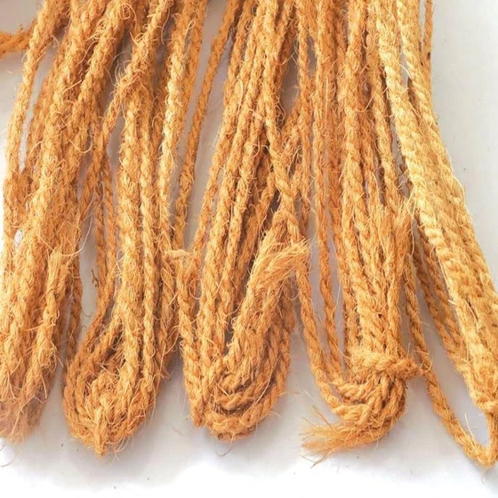 coir-natural-ropes-2.webp