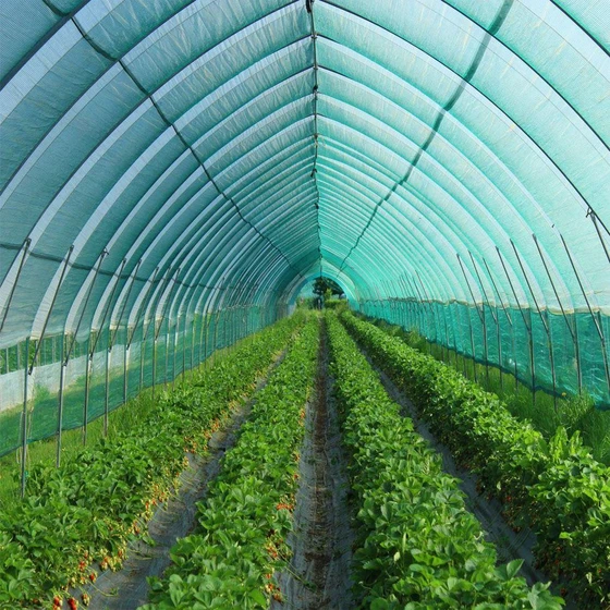 polyethylene-agro-shade-net-1.webp