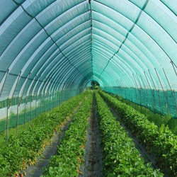 Polyethylene Agro Shade Net