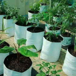 Poly Grow Bag