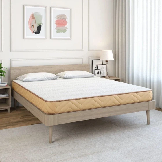 spine-rest-coir-mattress-2.webp