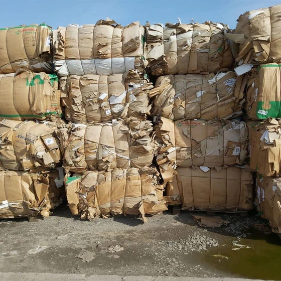 waste-paper-scrap-2.webp