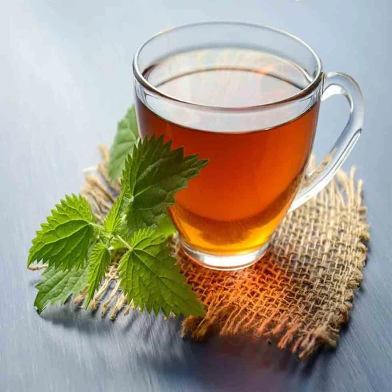 mint-tea-for-weight-loss.webp
