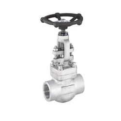 Steel Globe Valve