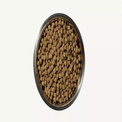 Dog Food