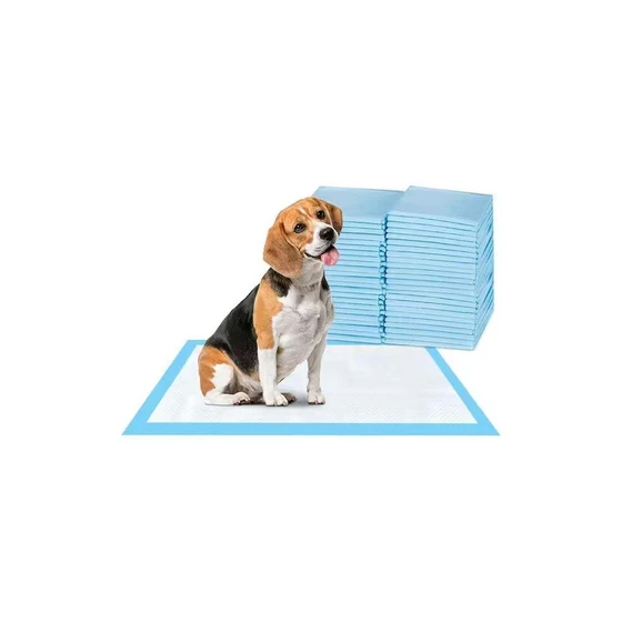 training-pads-2.webp