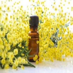 Mimosa Essential Oil