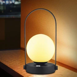 Portable Table Lamp