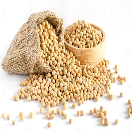 organic-soyabean-meal-2.webp