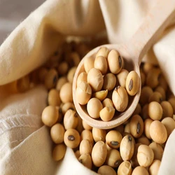 Organic Soyabean Meal