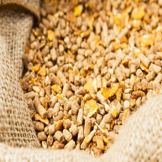 animal-soya-bean-meal-2.webp