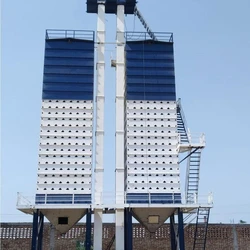 Paddy Dryer Plants