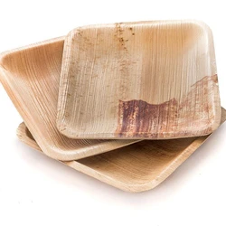 Square Areca Plates