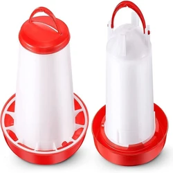 Chicks Feeder 