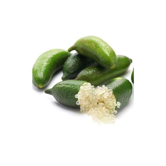 finger-lemon-plant-2.webp