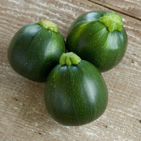 agriculture-chapan-kaddu-seeds-2.webp