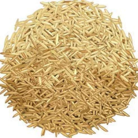 agriculture-pusa-basmati-2.webp