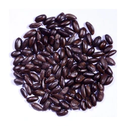 Custard Apple Fruit Seeds