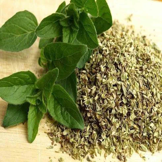 oregano-price.webp