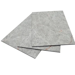 Natural Aluminum Panel