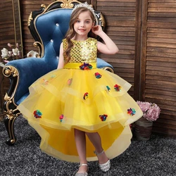 Fancy Kids Dress