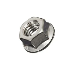 SS Flange Nut