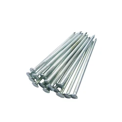 Galvanized Iron Nails